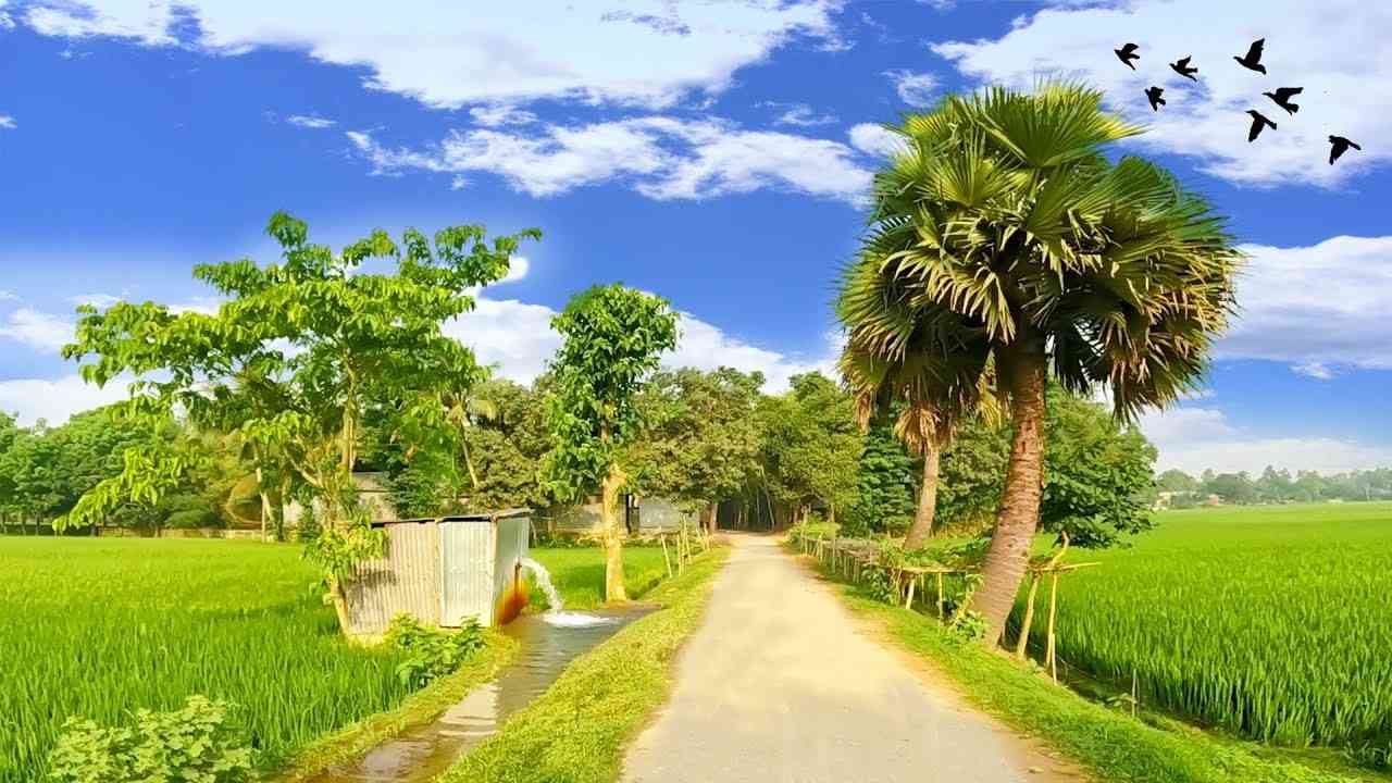 এ বারের দীপাবলিতে মাতৃসম বঙ্গভূমিকে শ্রদ্ধার্ঘ্য অর্পণ করছে কেএনসি রেজিমেন্ট। তাদের পুজোর থিম - বঙ্গভূমি তুমি অন্তর্যামী।