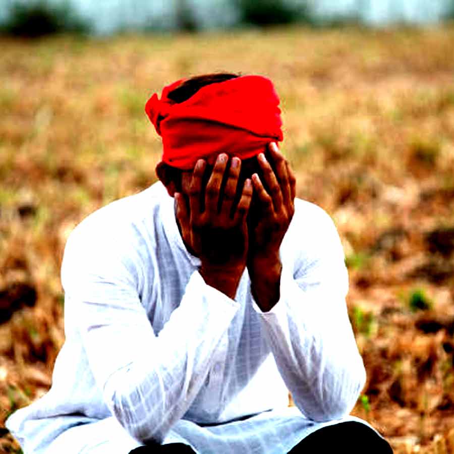 NCRB report states more than ten thousand farmers died in India in 2023, Maharashtra and Karnataka tops the list dgtl
