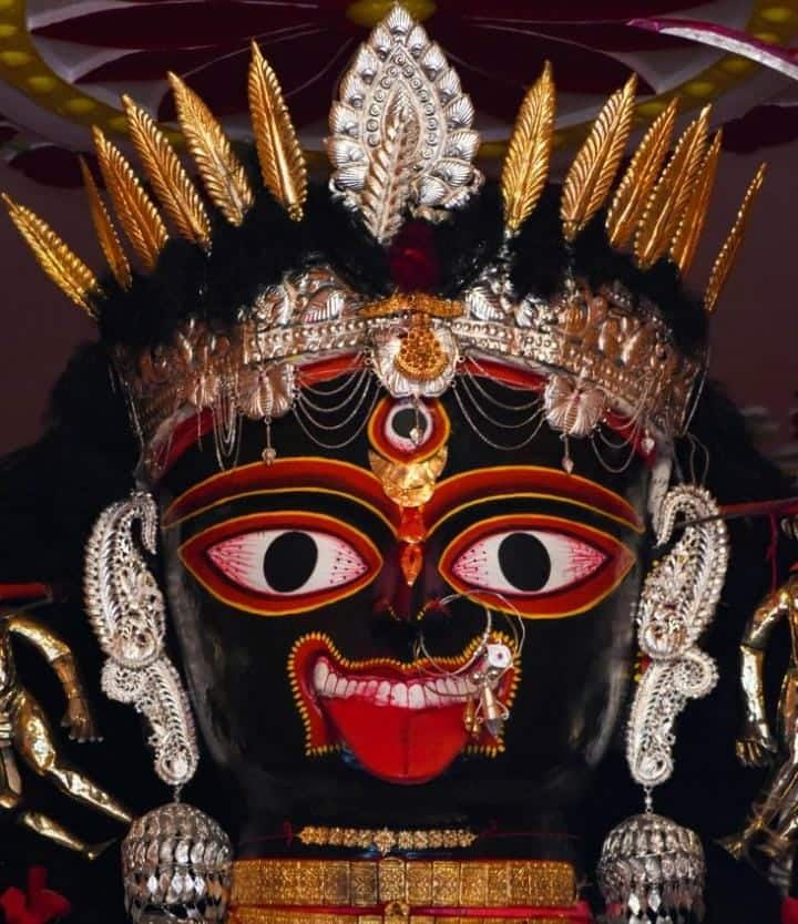 মা আগমেশ্বরীর ভোগে কিন্তু কোনও পশুবলি প্রথা নেই। কেবল একটি আঁখ ও চালকুমড়ো বলিদান হয়। ভোগের থালায় থাকে নানা পদের সমাহার—প্রায় ৩৬ রকমের ব্যঞ্জন, যার মধ্যে আছে তিন ধরনের শাক (লালশাক, কচুরশাক, পালংশাক), শুক্তনি, নানান ডাল, ছানার ডালনা, পোলাও, চাটনি, মিষ্টান্ন সহ সেই সময়ের সব ফল। গোস্বামী বাড়ির দীক্ষিত মহিলারাই ভক্তিভরে এই ভোগ রান্না করেন।