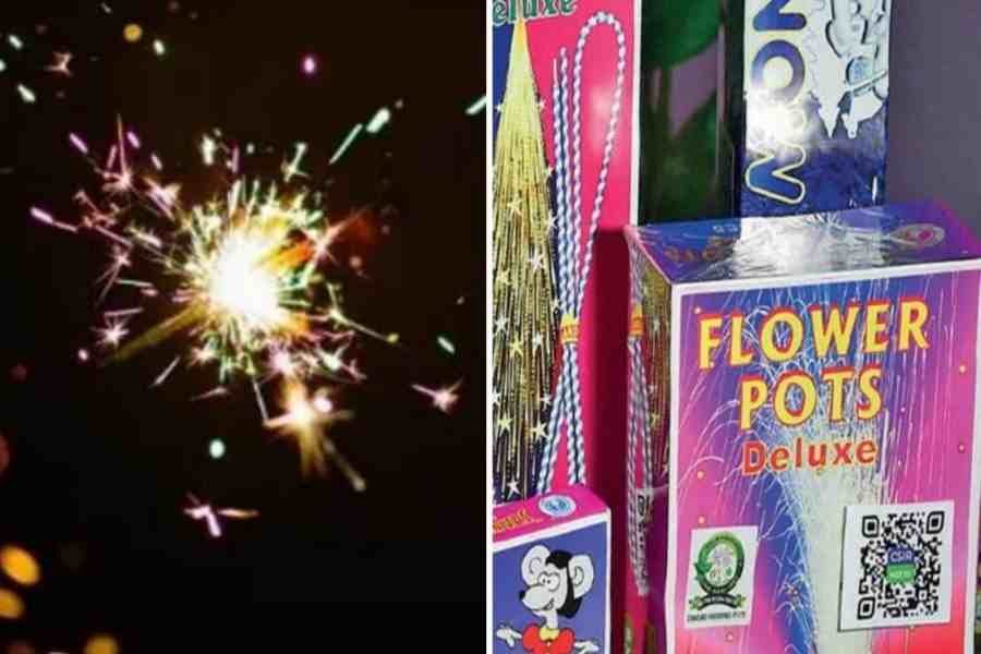  সবুজ ক্র্যাকারের এই তিনটি ব্র্যান্ডই বর্তমানে শুধুমাত্র লাইসেন্সপ্রাপ্ত প্রস্তুতকারকদের দ্বারা তৈরি, যারা সিএসআইআর-এর অনুমোদনপ্রাপ্ত। 