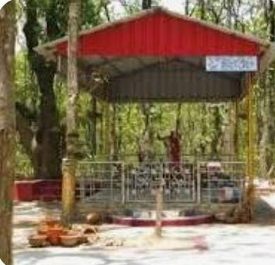 পুজো হয় আলোর উৎসবে অন্ধকারের ভিতরে লুকিয়ে থাকা এক অন্য আলোয়। (এই প্রতিবেদনটি ‘আনন্দ উৎসব’ ফিচারের একটি অংশ)।