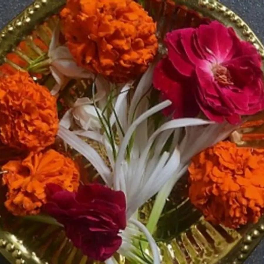 তাই এক দিন সে মা কালীর কাছে কেঁদে পড়ল। “মা আমাদের কেউ মান দেয় না। কোনও পুজোয় লাগি না।” 