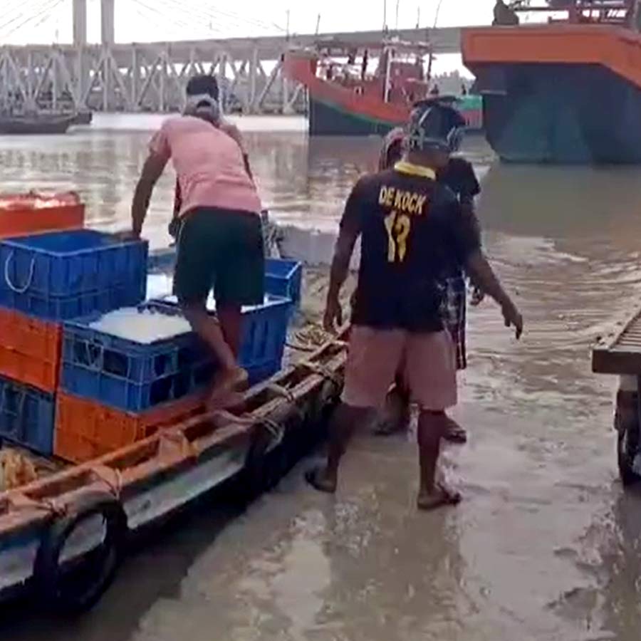 নৌকা থেকে নামানো হচ্ছে বাক্স। অভিযোগ, তার ভিতরে রয়েছে হাঙর মাছ।