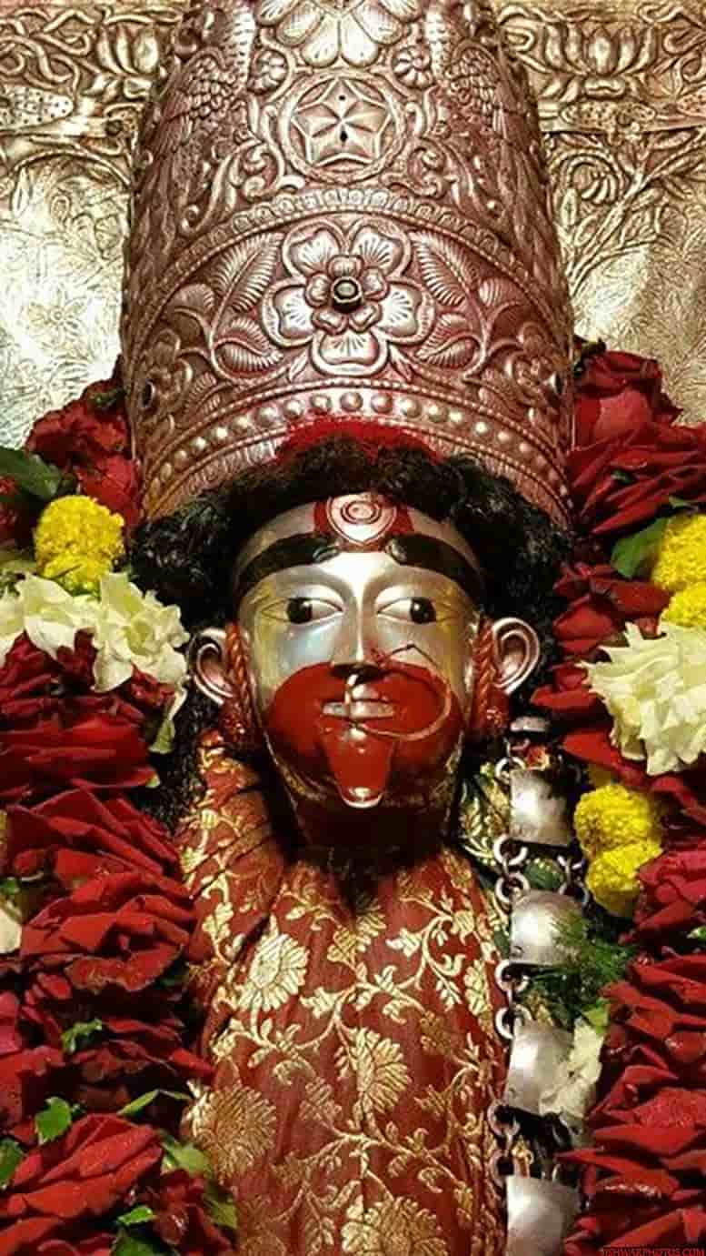 মশানকালী পুজো পান কুটিটোলায়। আর আন্ধারুপাড়ায় ছোট বোন তারা রয়েছেন। 