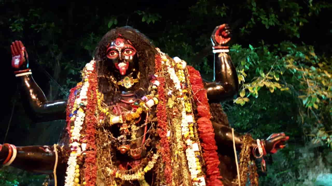 গোপালনগর গোল্ডেন ক্লাবে পূজিত হন এলোকেশী দেবী। এখানে দেবীর সোনার জিভ, রুপোর ছাতা। 