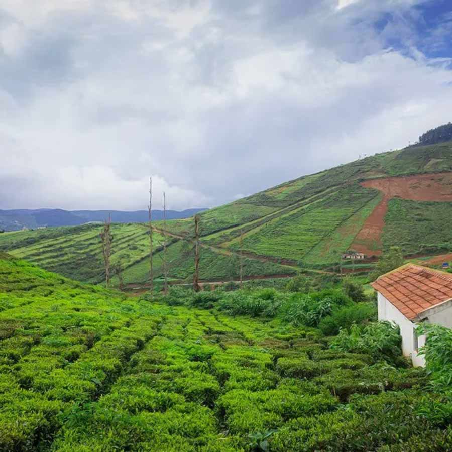 কুর্গের সৌন্দর্য  মন ভোলানো।