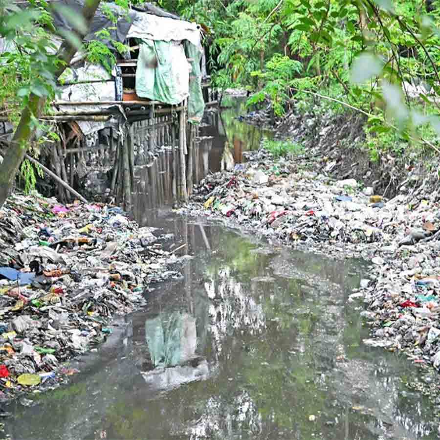 Workers reluctant to enter canal for fear of injury