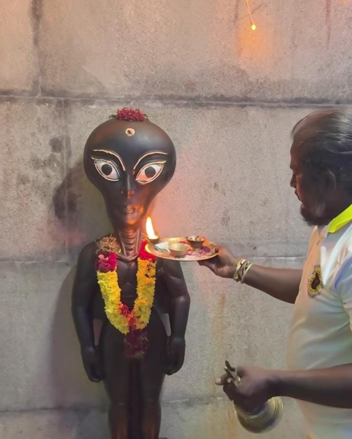 কেউ বলছেন, ভিনগ্রহীর ক্ষমতা নাকি অলৌকিক, কেউ আবার হাসতে হাসতেই ছবি তুলছেন ‘স্পেস গড’-এর সঙ্গে।