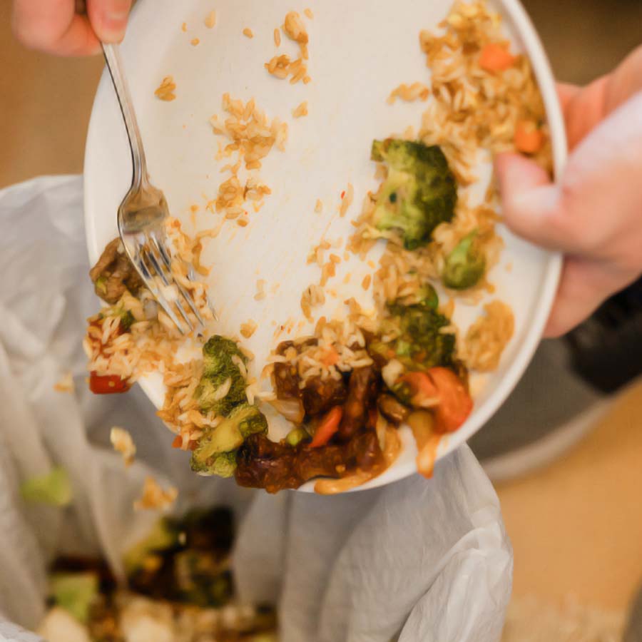 Top 10 Food-Wasting Countries in the World