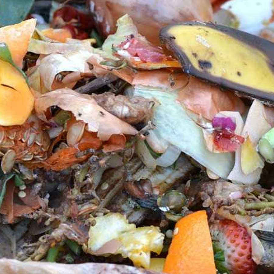 Top 10 Food-Wasting Countries in the World