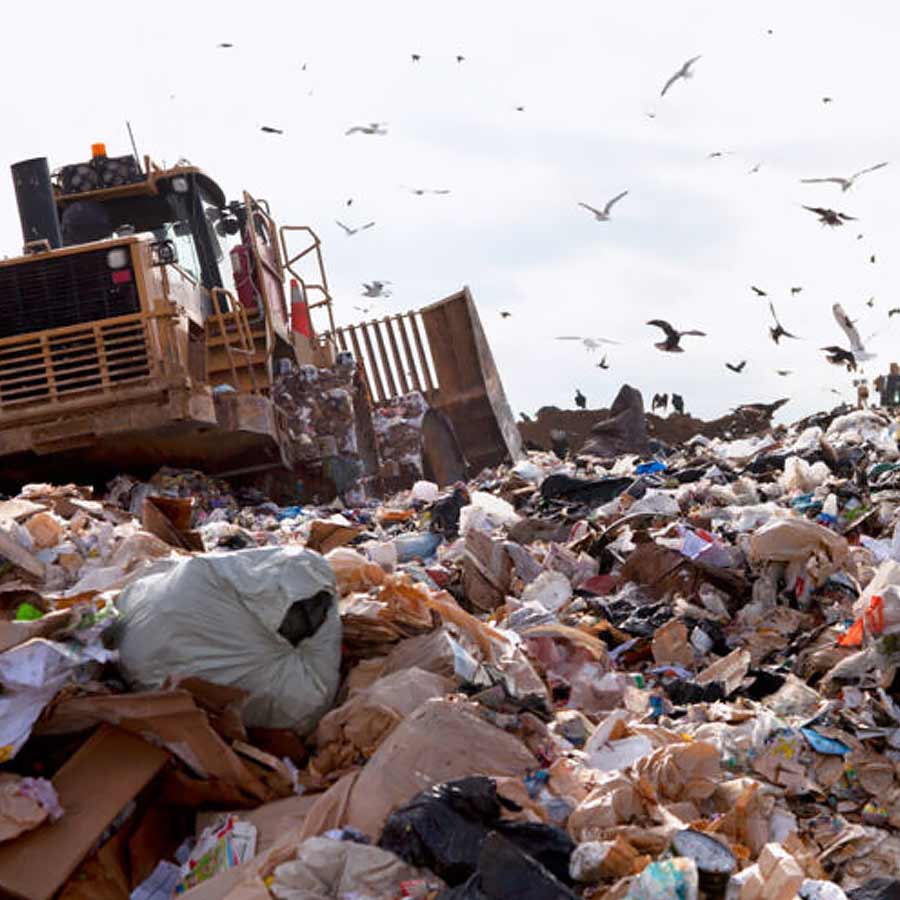 Top 10 Food-Wasting Countries in the World