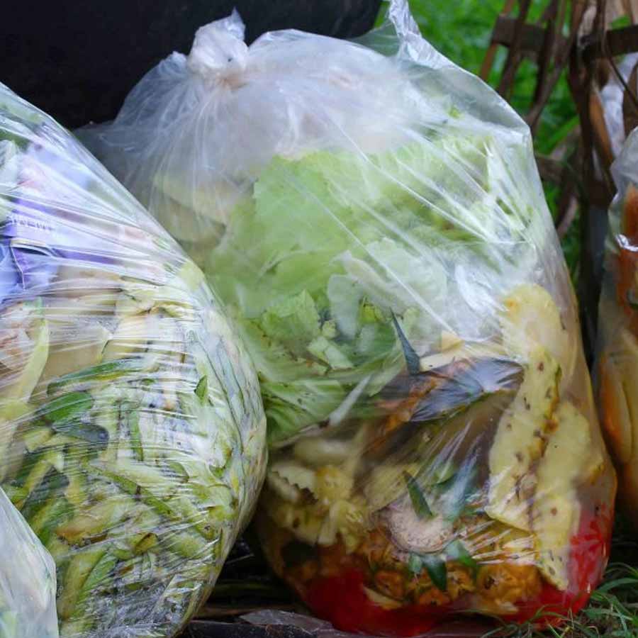 Top 10 Food-Wasting Countries in the World