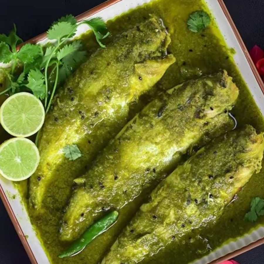 How to Cook Green Pabda Fish Curry dgtl