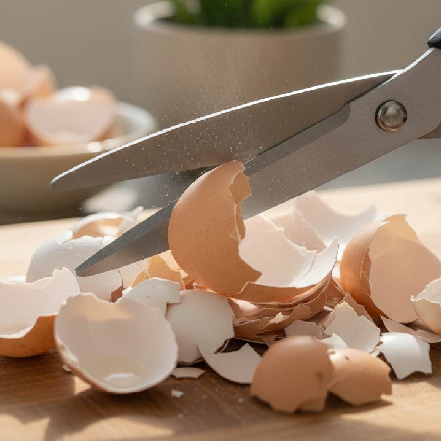 কাঁচিতে ধার দেওয়ার কৌশল।