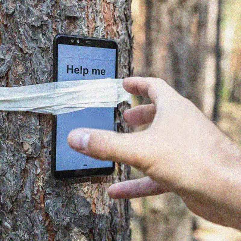 Tribal women tie phone with tree to get OTP of Ladki Bahin dgtl