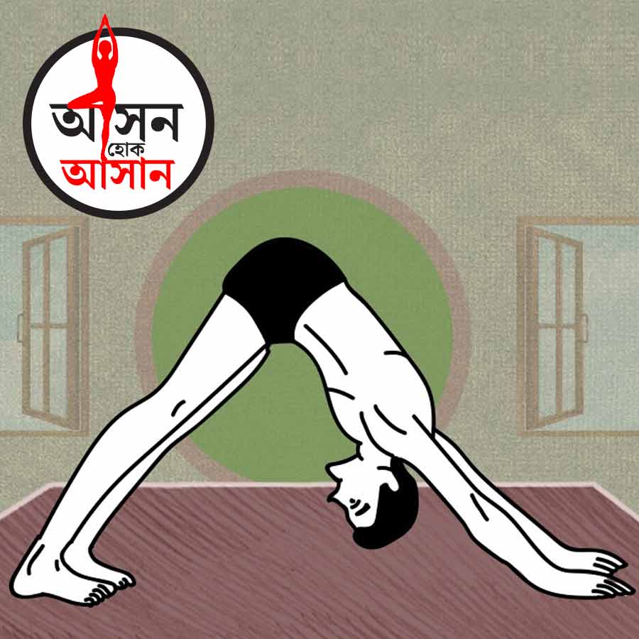 What are the health benefits of Parvatasana