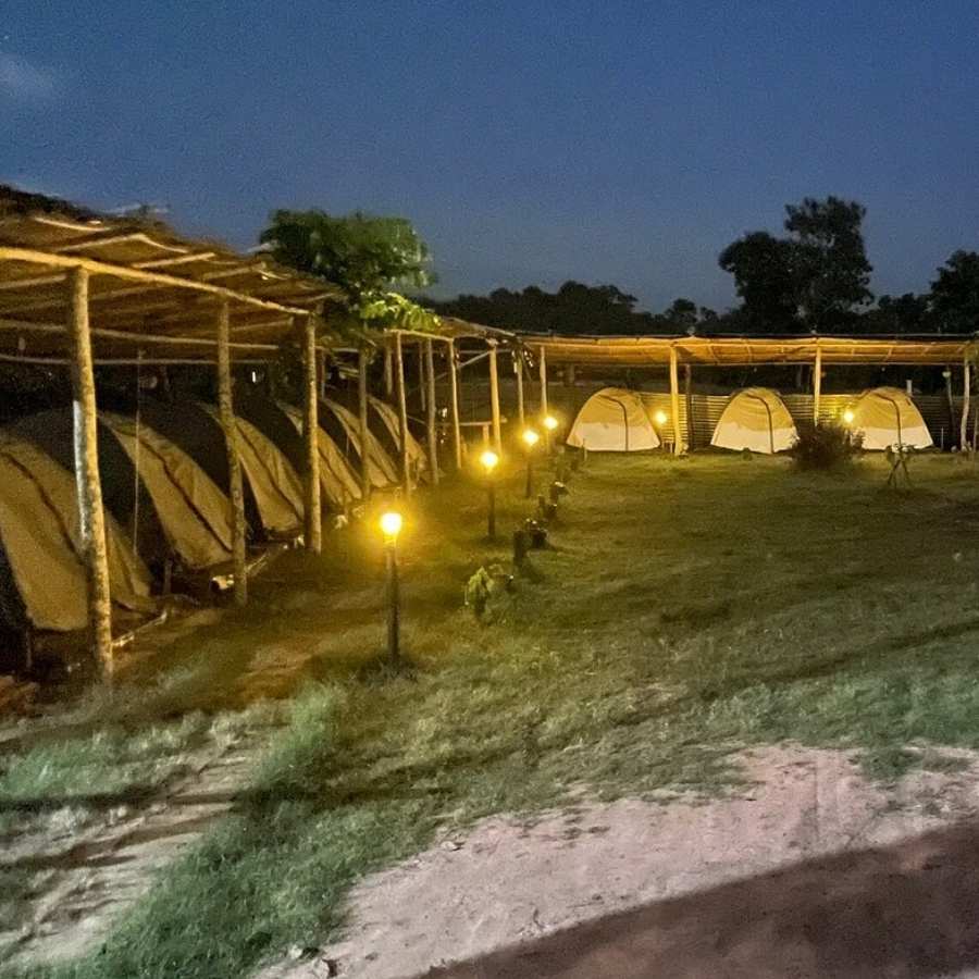 জোনাকির আলো, মশালের ঝলক, পায়রার উড়ে যাওয়া—সব মিলিয়ে অভিজ্ঞতা যেন এক অন্য জগতে।