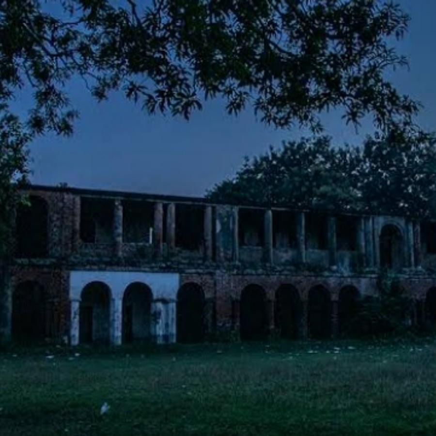 রাতের আলো কমলে, জঙ্গলের ভেতরের রাস্তাটা দেখে যেন মনে হয় অন্য কোনও জগৎ।