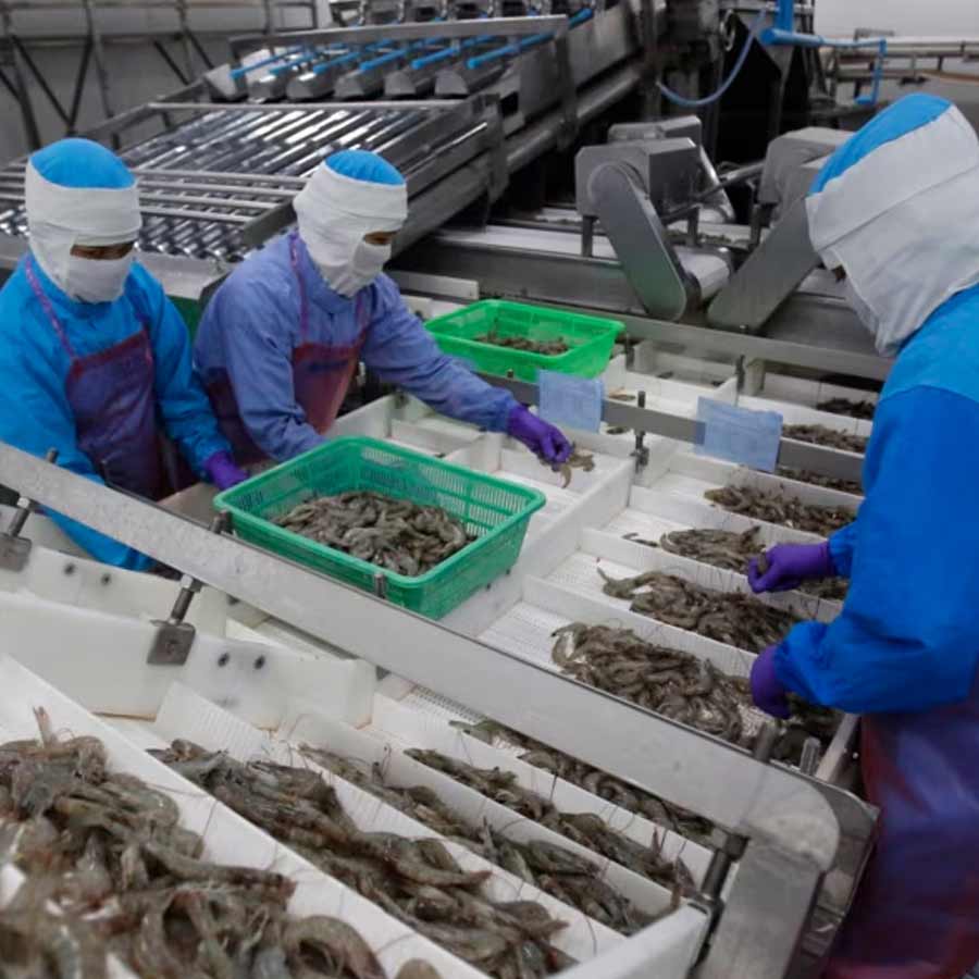 Radioactive contamination detected in a batch of shrimp shipped to the America from Indonesia
