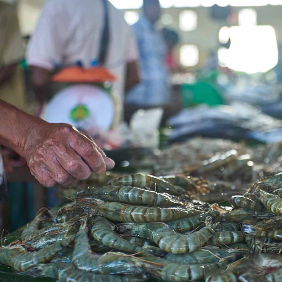 Radioactive contamination detected in a batch of shrimp shipped to the America from Indonesia