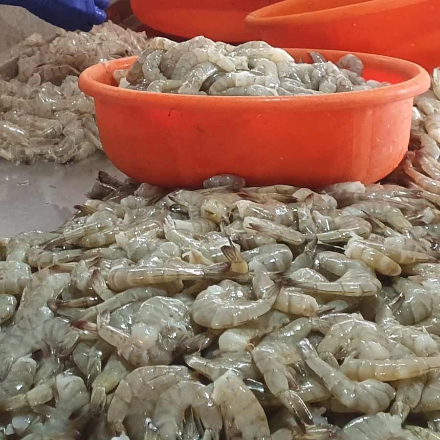 Radioactive contamination detected in a batch of shrimp shipped to the America from Indonesia