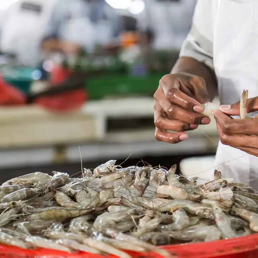 Radioactive contamination detected in a batch of shrimp shipped to the America from Indonesia