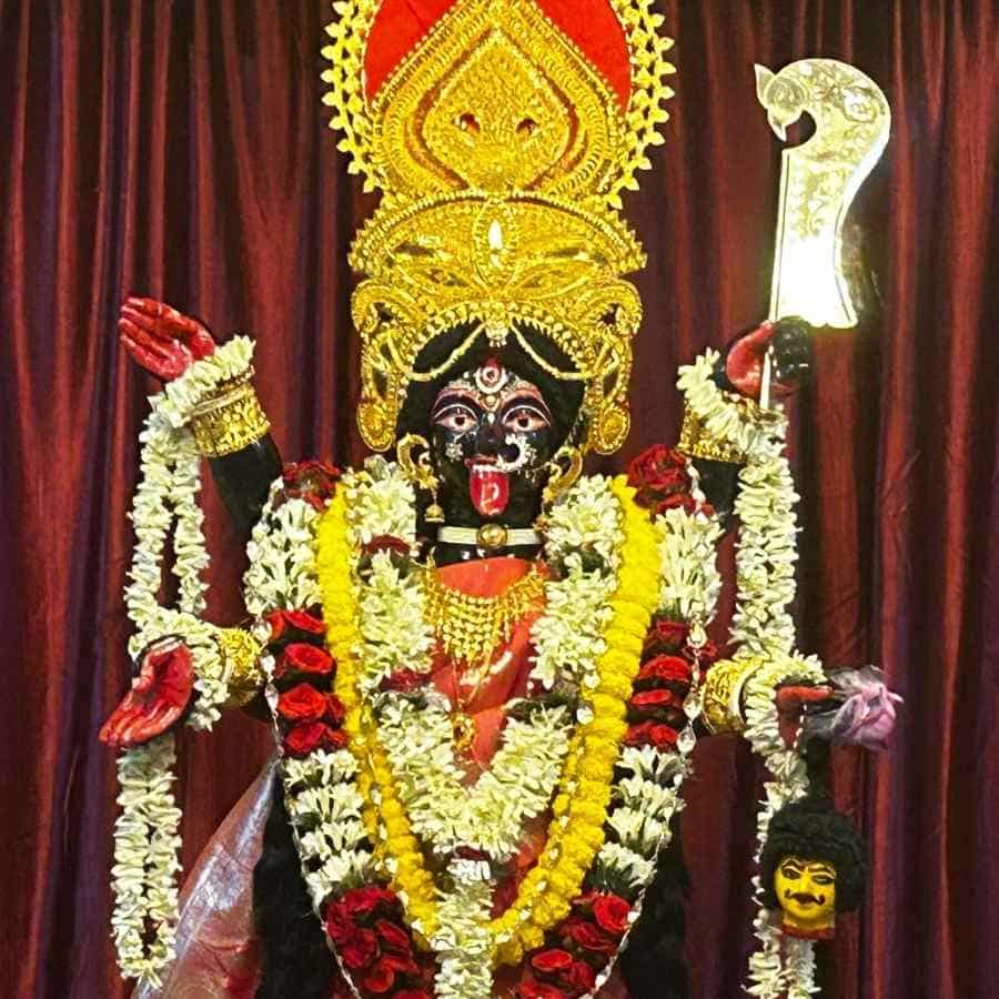 যেমন স্বপ্ন, তেমন কাজ। পুকুর থেকে তোলা হয় ঘট। ১৯৬৬ সালে কালীপুজোর দিনে প্রতিষ্ঠিত হন দেবী শিবানী। তবে প্রাথমিক ভাবে দেবী পূজিত হতেন ভবানী নামে। 