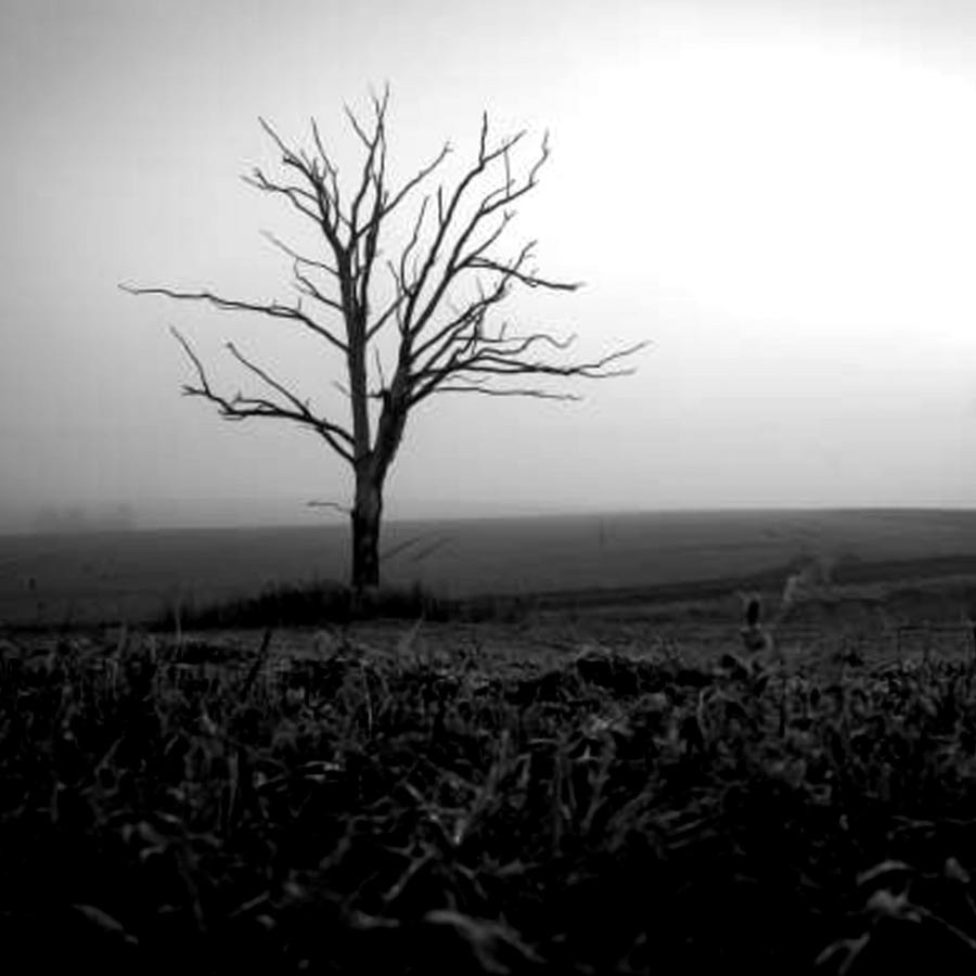 Bihar Doodh Paniya Village 