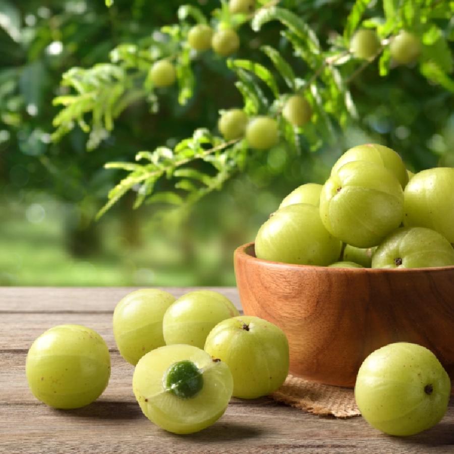 7 delicious recipes to make with Amla for health benefits dgtl
