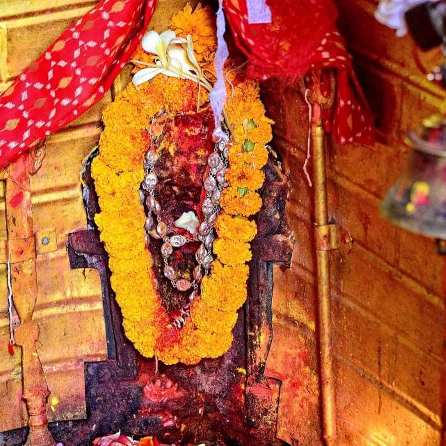 সংগৃহীত চিত্র।