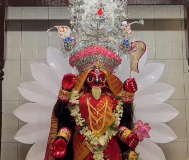 এমনকী কথিত, এক বার এক মৃত ব্যক্তিও জীবিত হয়ে উঠেছিলেন দেবীর ওষুধ খেয়ে। 