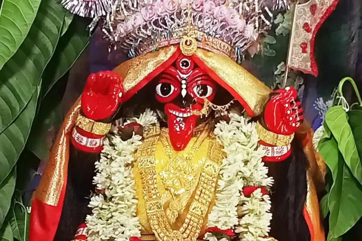 দেবীর এই রোগ সারানোর ওষুধ নিতেই নাকি দূর-দূরান্ত থেকে ছুটে জয়নগরের মজিলা গ্রামে আসেন ভক্তরা। সপ্তাহভরই মন্দির চত্বরে থিকথিক করে ভিড়। তা চরম আকার ধারণ করে অমাবস্যা ও কালীপুজোয়। 