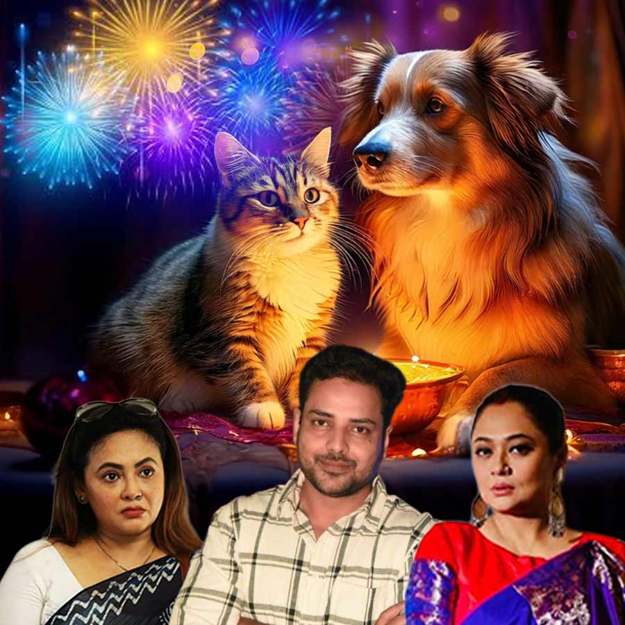 সংগৃহীত চিত্র।