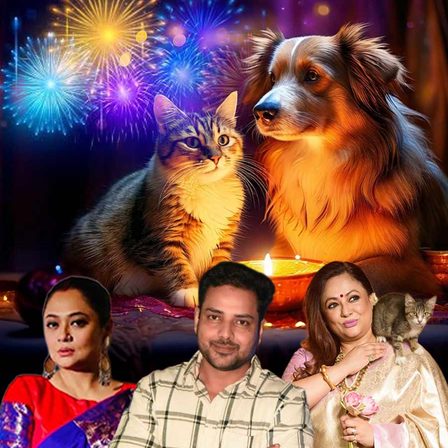 Celebrities say no to loud firecrackers that harm pets dgtl
