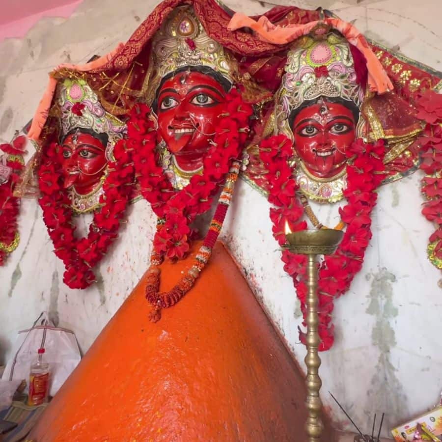 বৈশাখ মাসের বাৎসরিক পুজো উপলক্ষে মন্দির চত্বর সেজে ওঠে, বসে বিরাট মেলা। উৎসবের এই দিনগুলিতে শুধু পুজো নয়, চলে সমাজসেবামূলক কার্যকলাপও। 