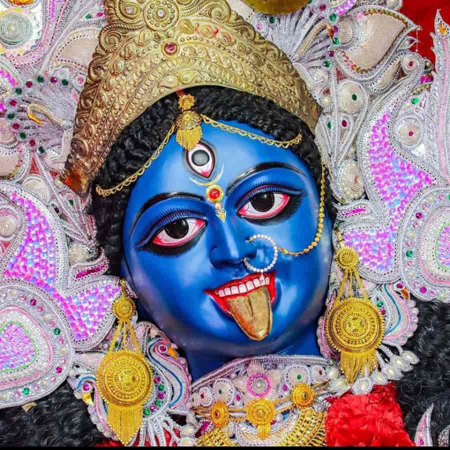 ১৯৭৭ সালে প্রথম শুরু হয়েছিল এই পুজো। 