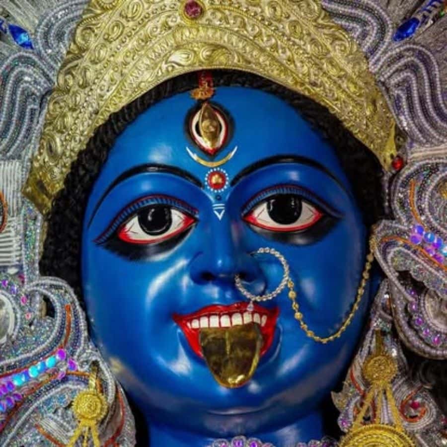 প্রয়াত রাষ্ট্রপতি প্রণব মুখোপাধ্যায় যেমন এসেছিলেন, তেমনই রামকুমার চট্টোপাধ্যায়ের আগমনও হয়েছিল। এক বার বীরেন্দ্রকৃষ্ণ ভদ্র এর উদ্বোধনও করেছিলেন। 