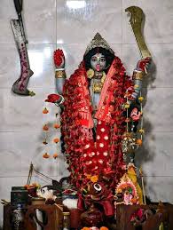 গোপাল ছিলেন পরম কালীভক্ত। মাংসের দোকানেই দেবীর মূর্তি প্রতিষ্ঠা করেছিলেন। সেখানে নিত্যপুজো ও বলিদানের বিধি পালন করা হত। সেই কালী মূর্তিই ছিল তাঁর দোকানের পরিচয় বা 'ট্রেড মার্ক'!