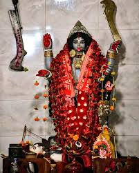 গোপালের উত্তরসূরিরা জানান, আজও যাবতীয় প্রথা মেনে প্রতিদিন এবং প্রতি অমাবস্যায় পুজো করা হয়। 