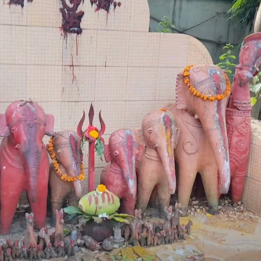 এ ছাড়াও এখানে পূজিত হন হাতি-ঘোড়া ঠাকুর, যাঁদের দেবী মনসার প্রতীক হিসেবে মানা হয়।