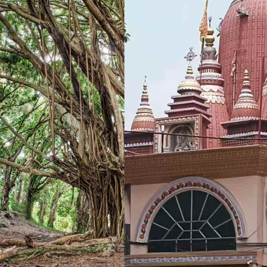 সে বহুকাল আগের কথা। এই এলাকা তখন জঙ্গলে ঘেরা। এখন যেখানে মন্দিরের অবস্থান, সেখানেই দাঁড়িয়ে থাকত একটি বিরাট বটগাছ। 