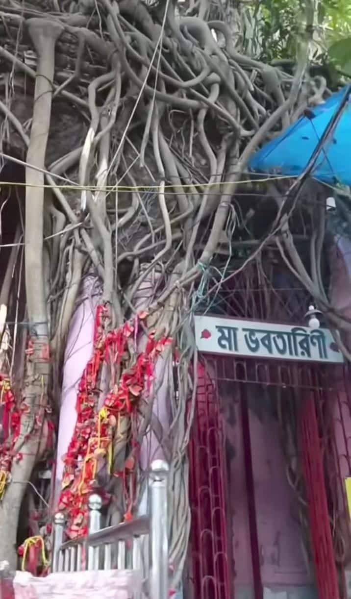 নবদ্বীপ। নাম শুনলেই মনে আসে শ্রীচৈতন্যর কথা, কীর্তন আর সেই প্রেমের বন্যা। কিন্তু এই নবদ্বীপে আছে এক অন্য গল্প। যার কেন্দ্রবিন্দু পোড়ামাতলার মন্দির। 