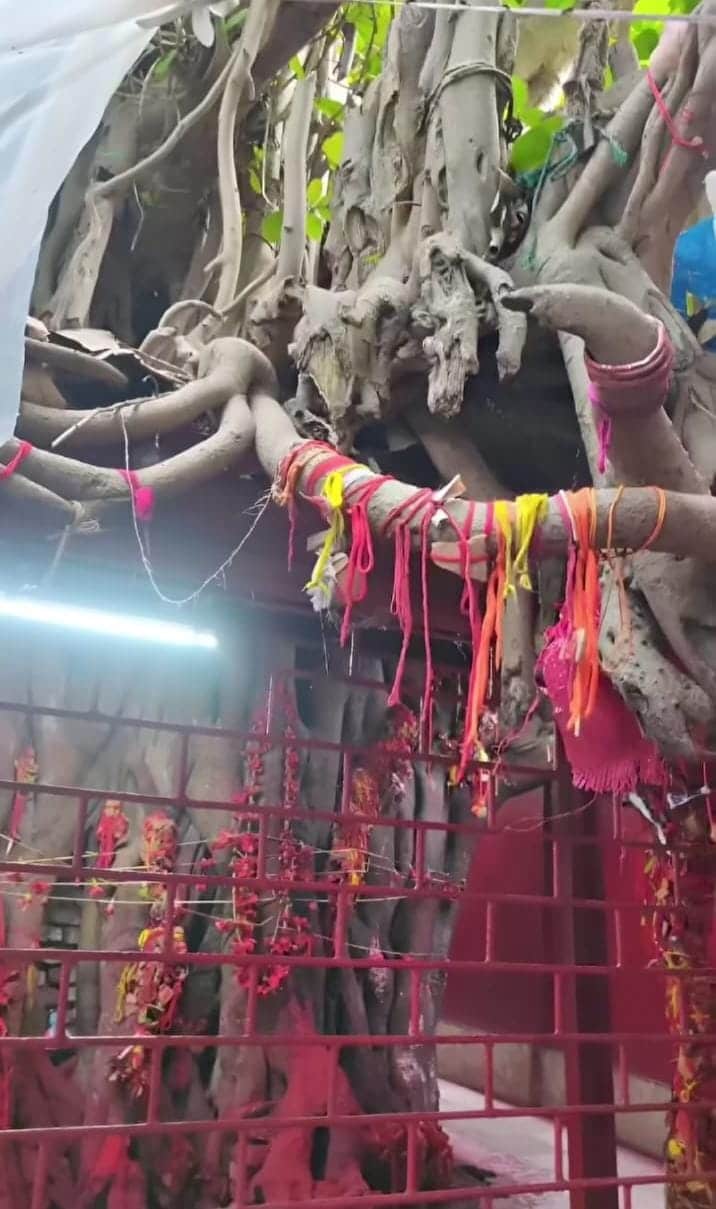 এখানকার পরিবেশ দিনের বেলাতেও যেন অন্য রকম। বিরাট এক বটগাছের তলায় এই মন্দির, যেখানে সূর্যের আলো যেন সহজে পৌঁছতে চায় না।