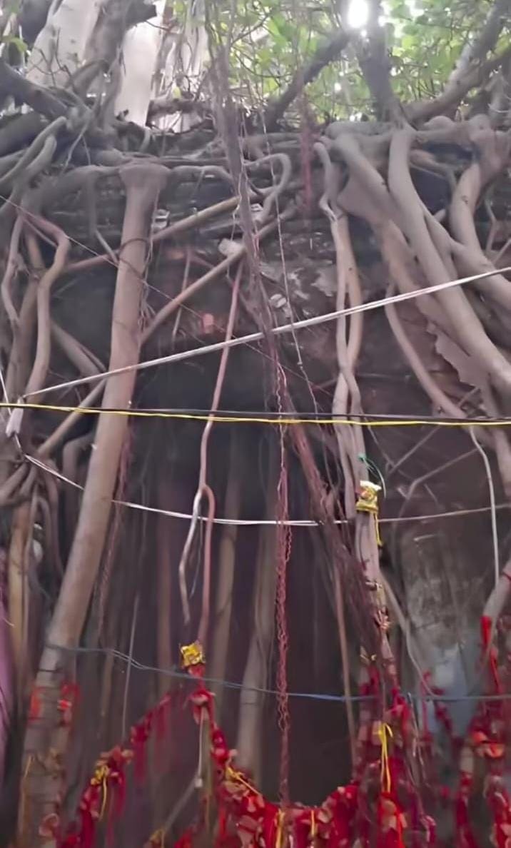 কথিত, এই বটগাছ এক সময়ে নাকি বজ্রপাতের কারণে পুড়ে ছাই হয়ে গিয়েছিল। সেই থেকেই নাকি এখানকার দেবী 'পোড়া মা' নামে পরিচিত।