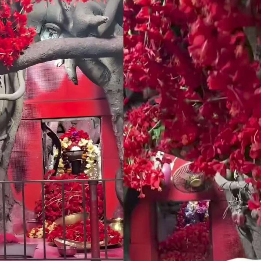 এই দুই মন্দির ঘিরে থাকা মানুষের আবেগই বলে দেয়, নবদ্বীপ শুধু কৃষ্ণনামে নয়, এই পোড়া মায়ের টানেও অনেকে ছুটে আসেন। ( এই প্রতিবেদনটি ‘আনন্দ উৎসব’ ফিচারের একটি অংশ)।