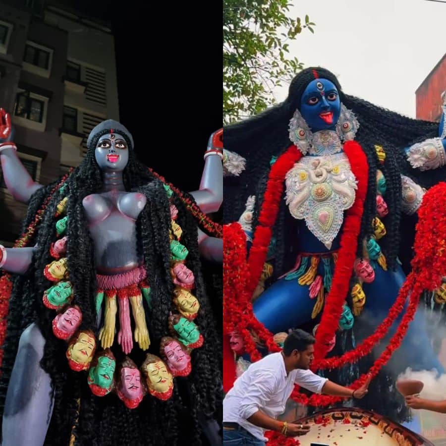 সংগৃহীত চিত্র।