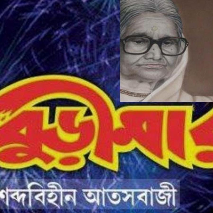  ১৯৯৫ সালের ৩ জুন মৃত্যু হয় বুড়ীমার। ১৯৯৬ সাল থেকেই  নিষিদ্ধ হয়ে যায় শব্দবাজি। শব্দবাজির ঊর্দ্ধসীমা ৯০ ডেসিবেলের মধ্যে বেঁধে দেওয়া হয়। এখন অবশ্য ১২৫। 