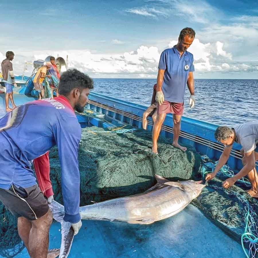 Blue Economy may change India’s fate through deep sea fishing, three phase plan of NITI Aayog 