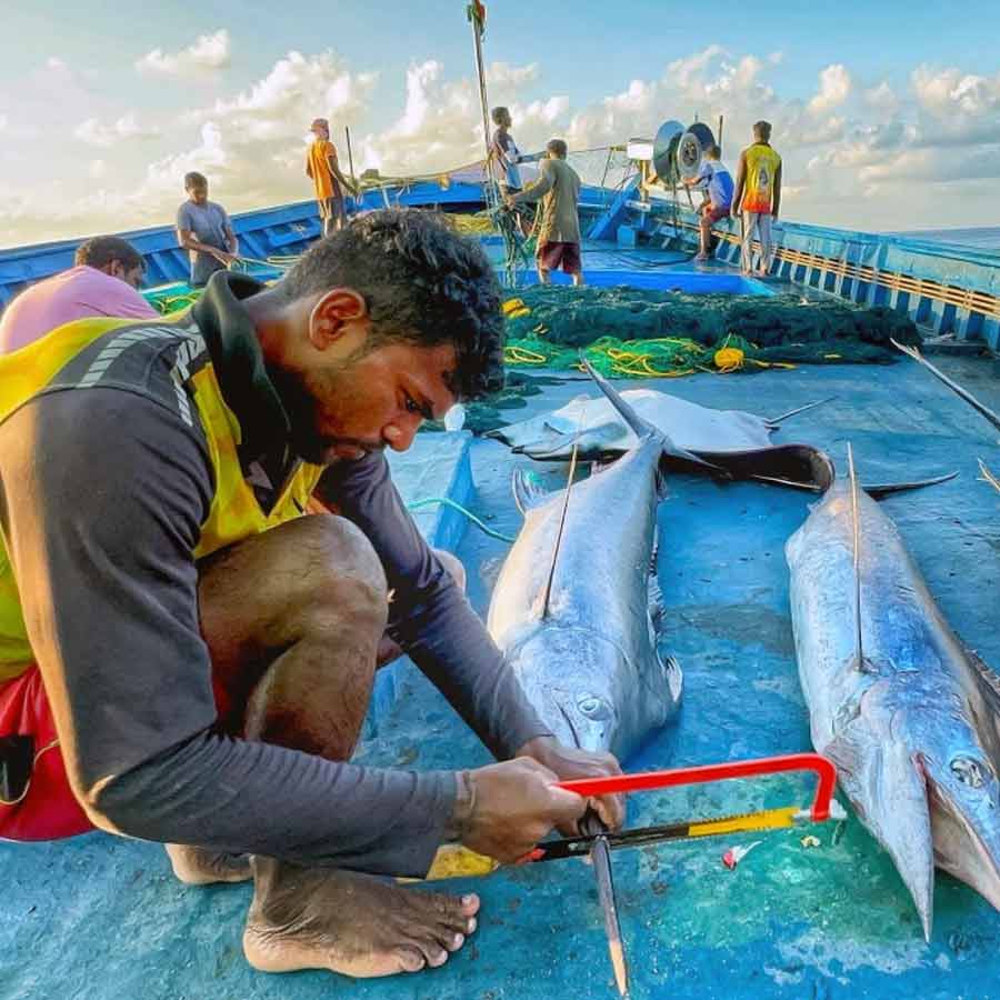 Blue Economy may change India’s fate through deep sea fishing, three phase plan of NITI Aayog 
