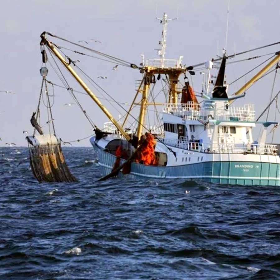 Blue Economy may change India’s fate through deep sea fishing, three phase plan of NITI Aayog 